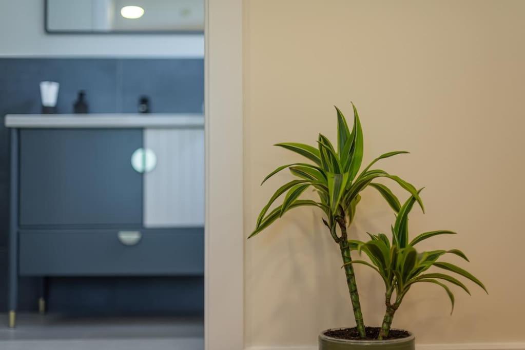 Fabrica Apartments 11 Kluż-Napoka Zewnętrze zdjęcie
